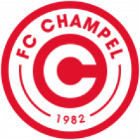 Team Flag Logo