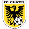 Team Flag Logo
