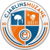 Team Flag Logo