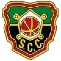 Team Flag Logo