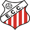 Team Flag Logo