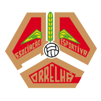 Team Flag Logo