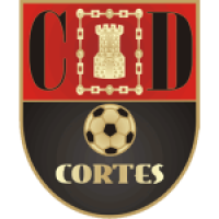 Team Flag Logo