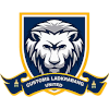Team Flag Logo