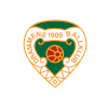 Team Flag Logo