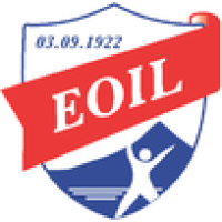 Team Flag Logo