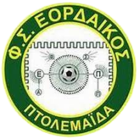 Team Flag Logo
