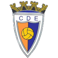 Team Flag Logo