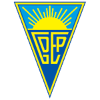 Team Flag Logo