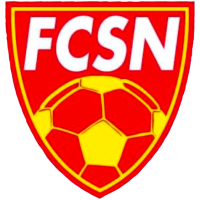 Team Flag Logo