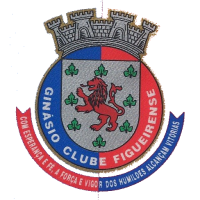 Team Flag Logo