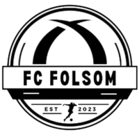 Team Flag Logo