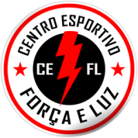 Team Flag Logo