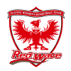 Фуджитсу (жен)