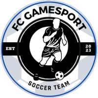 Team Flag Logo