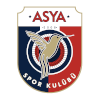 Team Flag Logo