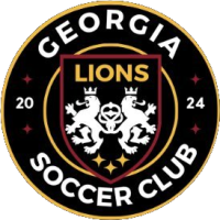 Team Flag Logo