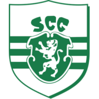 Team Flag Logo