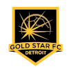 Team Flag Logo