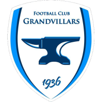 Team Flag Logo