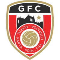 Team Flag Logo