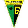 Team Flag Logo