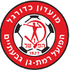 Team Flag Logo