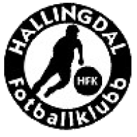 Team Flag Logo
