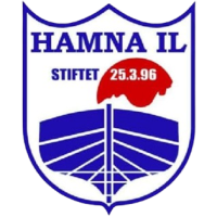 Team Flag Logo
