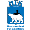 Team Flag Logo