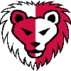 Team Flag Logo