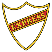 Team Flag Logo
