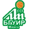 Импульс-БГУИР