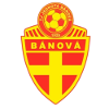 Team Flag Logo
