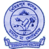 Team Flag Logo