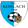 Team Flag Logo