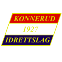 Team Flag Logo