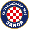 Team Flag Logo
