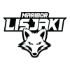 ХДК Марибор