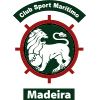 Team Flag Logo