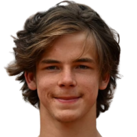 МакДоналд Н.