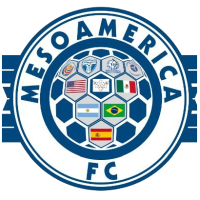 Team Flag Logo