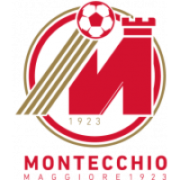Team Flag Logo
