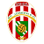 Team Flag Logo