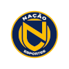 Team Flag Logo
