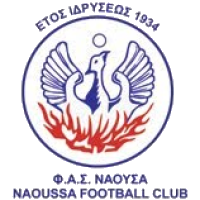 Team Flag Logo