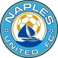 Team Flag Logo