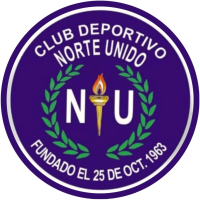 Team Flag Logo