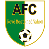 Team Flag Logo