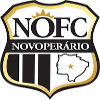 Team Flag Logo